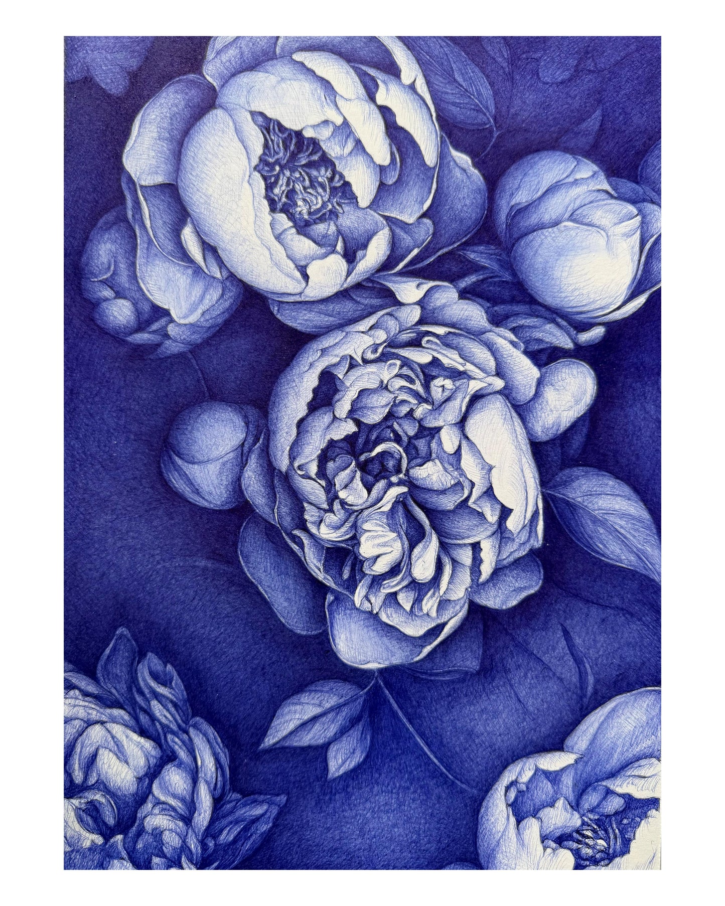 Pivoines - Tirage (Précommande) -5%
