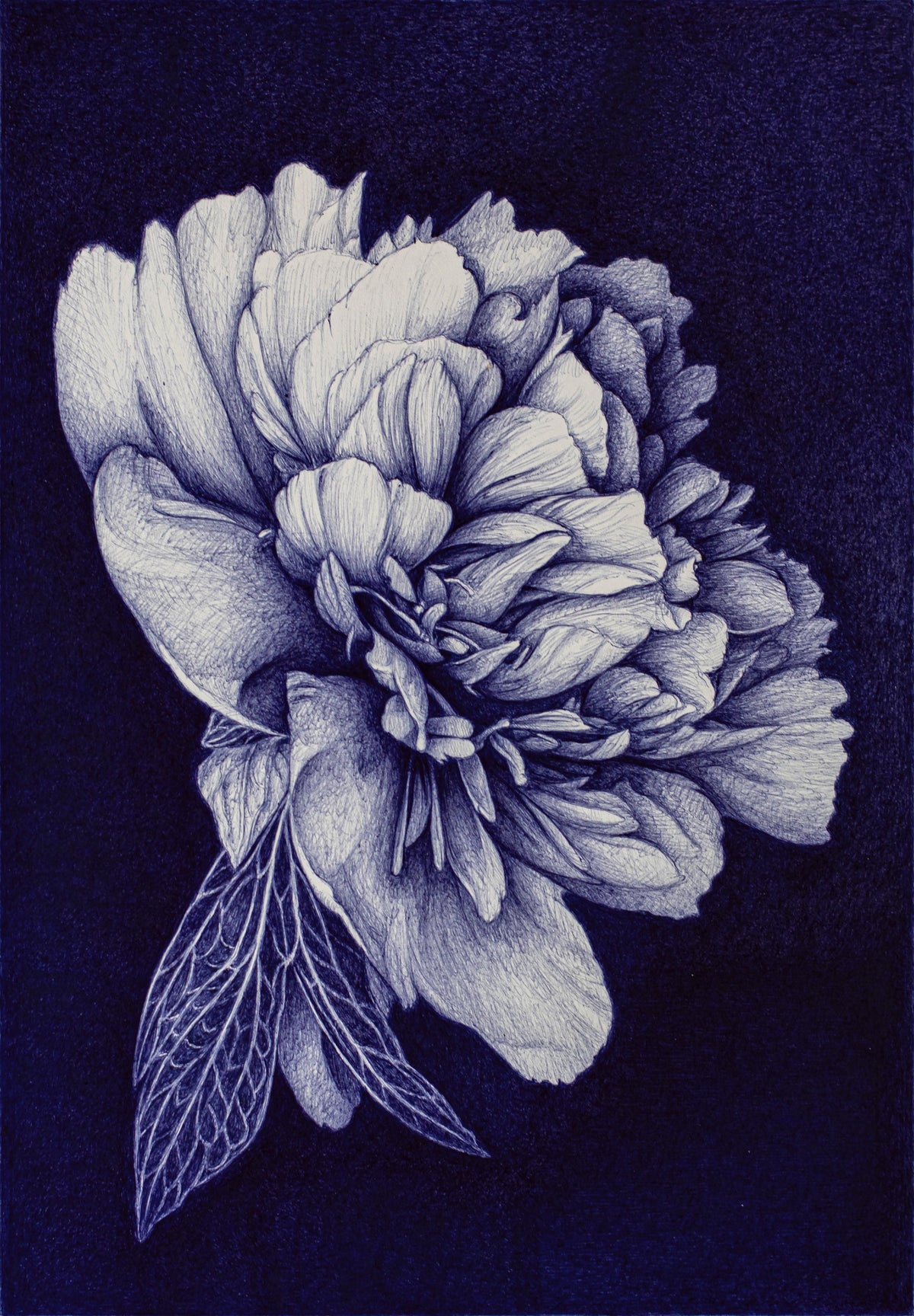 Peony - Card